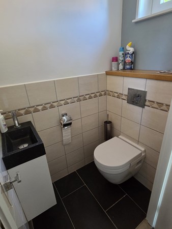 Koelmoer 51012a.JPG